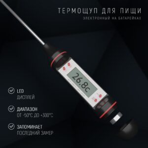 Термометр TP-101